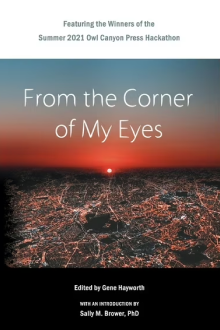 From the Corner of My Eyes - Owl Canyon Press